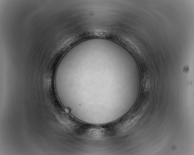 X0000100200595200805301312