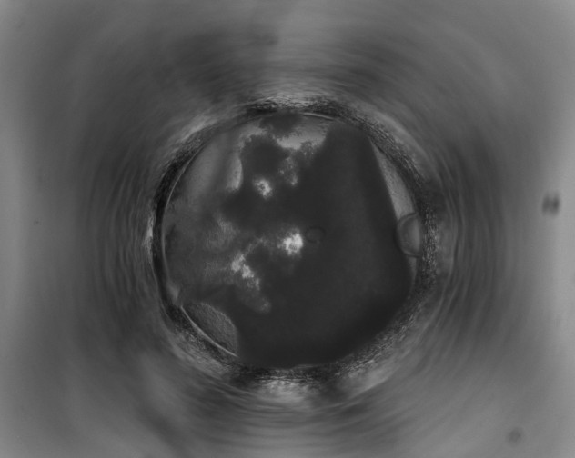 X0000100200596200805301312