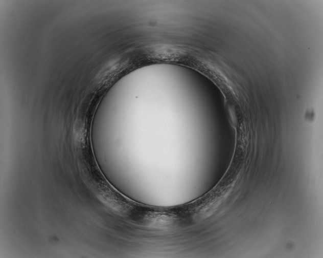 X0000100200597200805301312