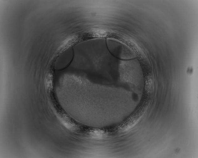 X0000100200598200805301312