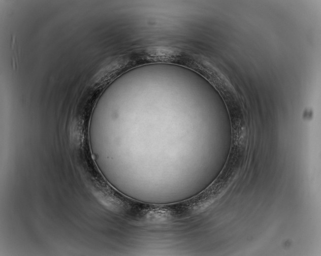 X0000100200599200805301312