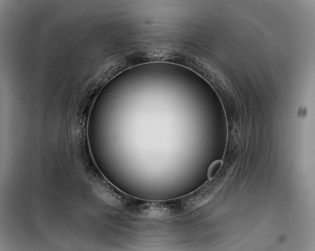 X0000100200601200805301312