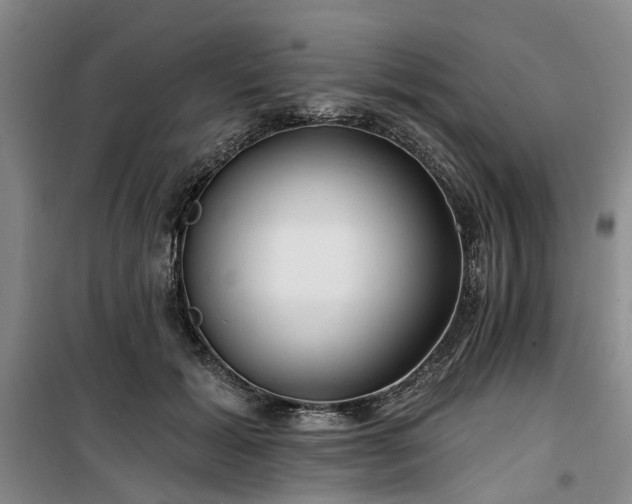 X0000100200605200805301311