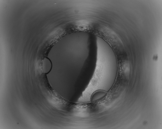 X0000100200606200805301311