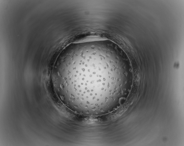 X0000100200607200805301311