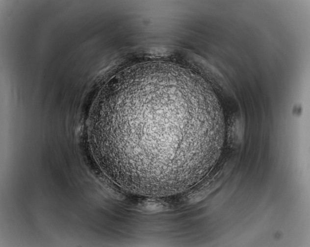 X0000100200608200805301311