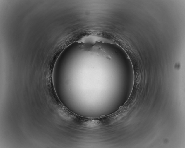 X0000100200609200805301311