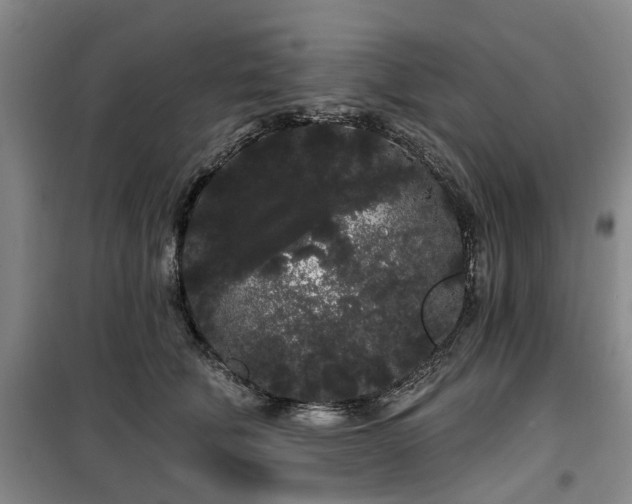 X0000100200610200805301311