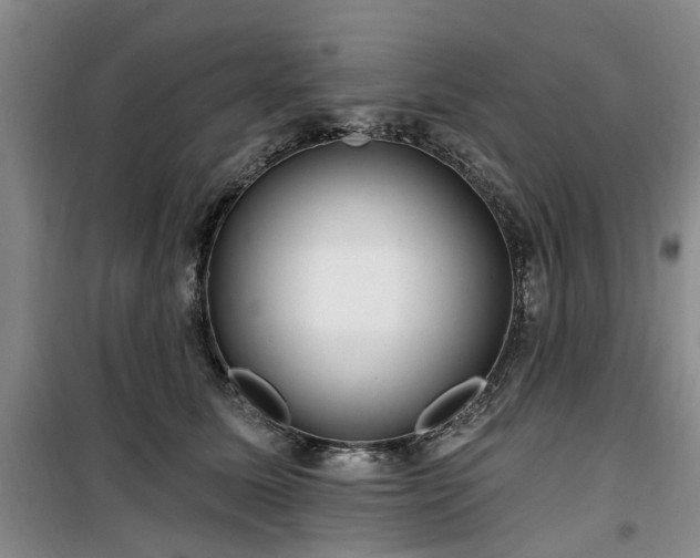 X0000100200611200805301311