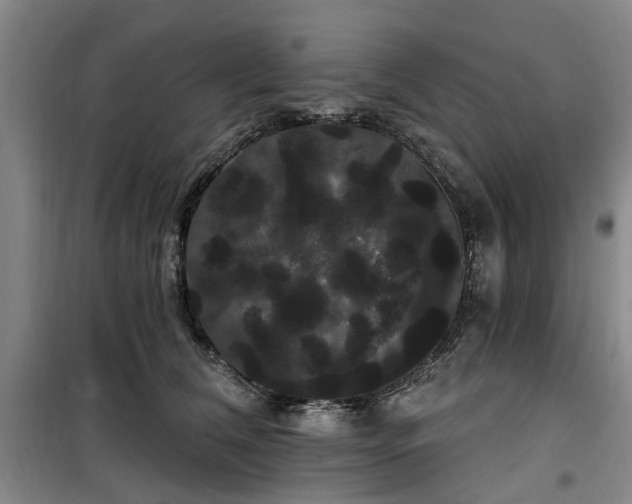 X0000100200612200805301311