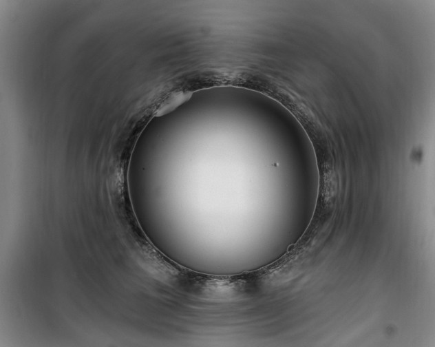 X0000100200613200805301311