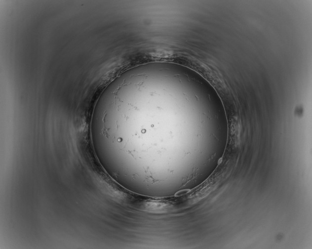 X0000100200614200805301311