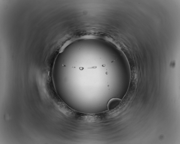 X0000100200615200805301311