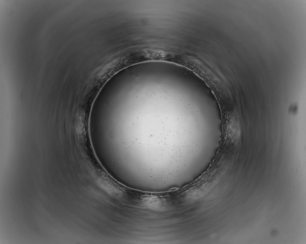 X0000100200616200805301311