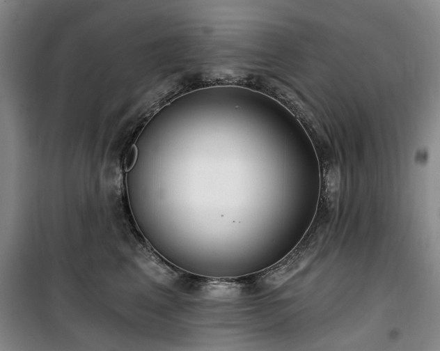 X0000100200617200805301311