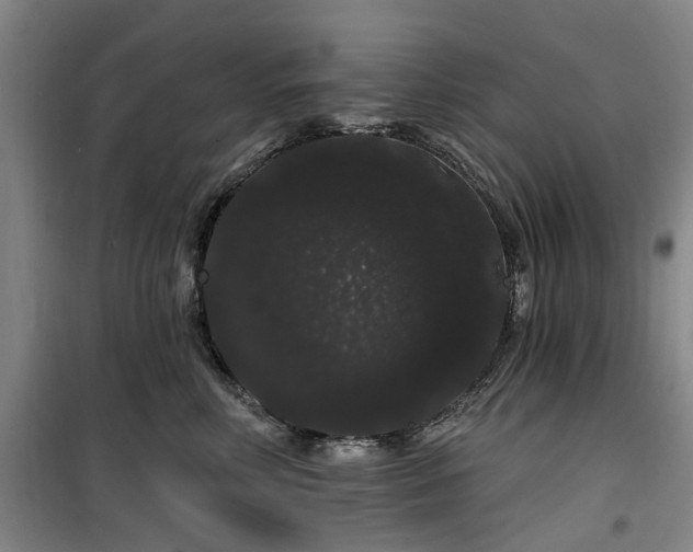 X0000100200618200805301311