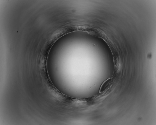 X0000100200619200805301311