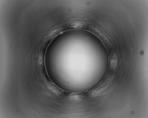 X0000100200620200805301311