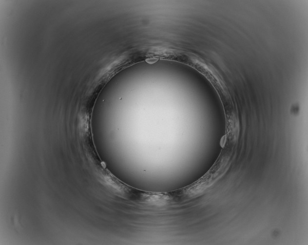 X0000100200621200805301311