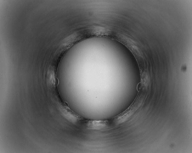 X0000100200622200805301311