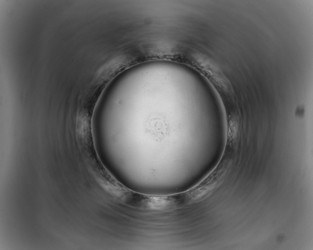 X0000100200623200805301311