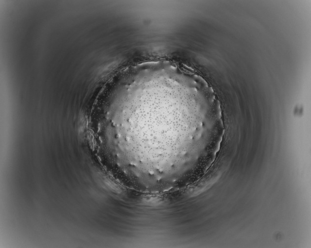 X0000100200624200805301311