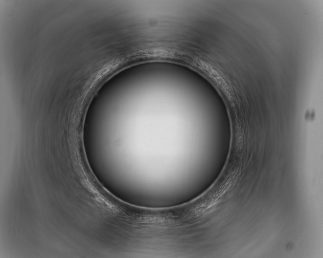 X0000100200625200805301311