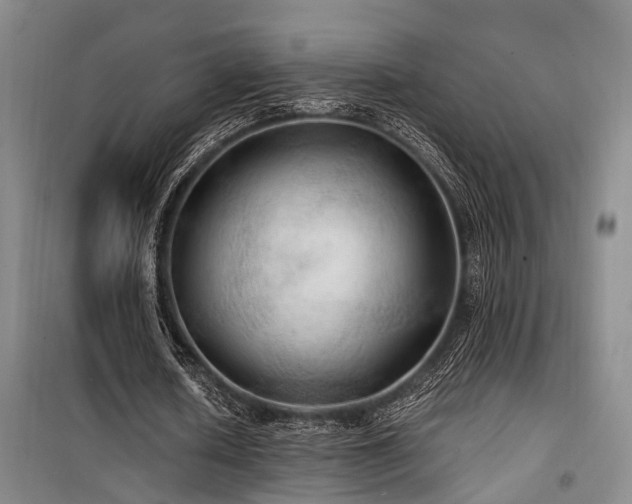 X0000100200626200805301311