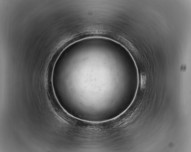 X0000100200627200805301311