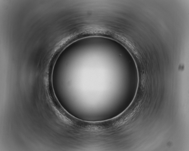 X0000100200629200805301311