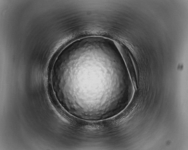 X0000100200630200805301311