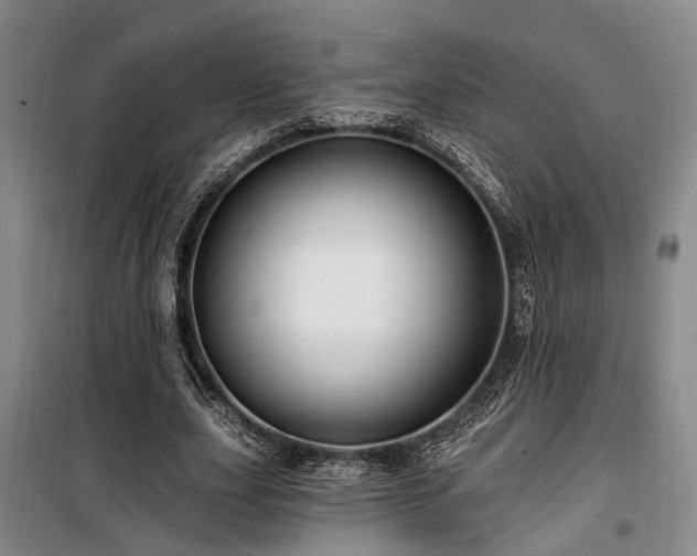 X0000100200631200805301311