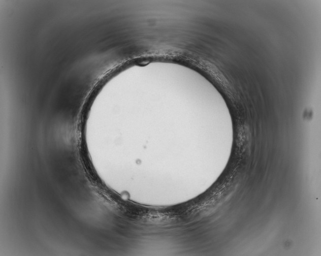 X0000100200632200805301311