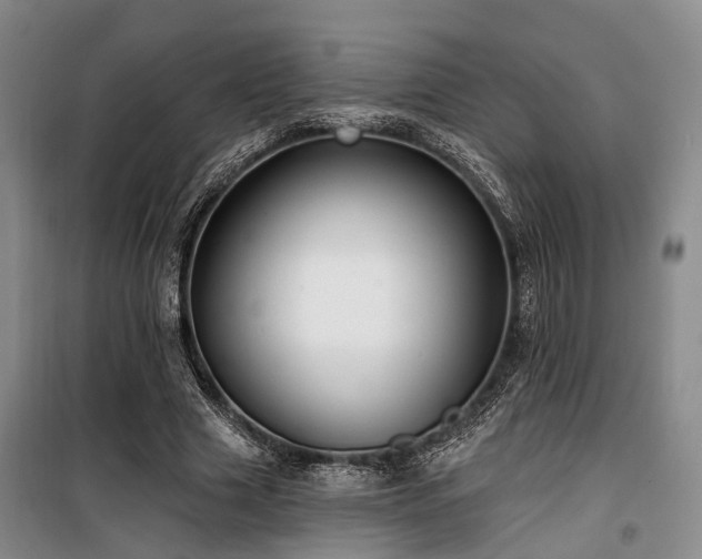 X0000100200633200805301311