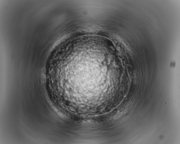 X0000100200634200805301311