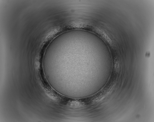 X0000100200635200805301311