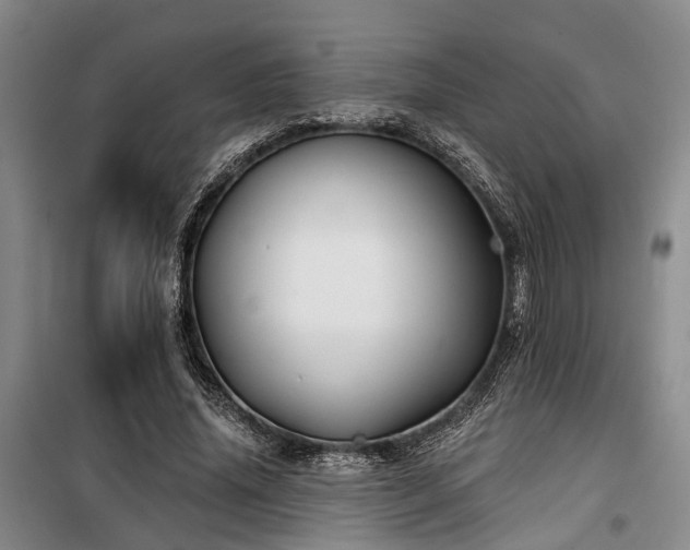 X0000100200636200805301311