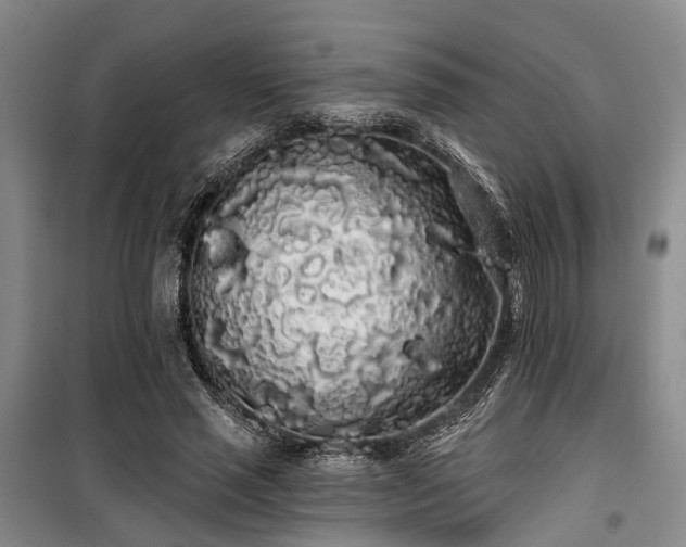 X0000100200637200805301311