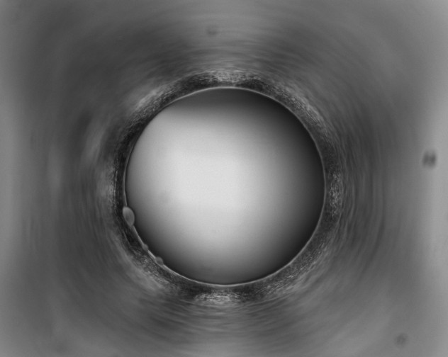 X0000100200639200805301311