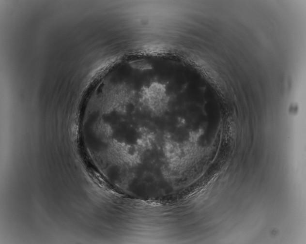 X0000100200640200805301311