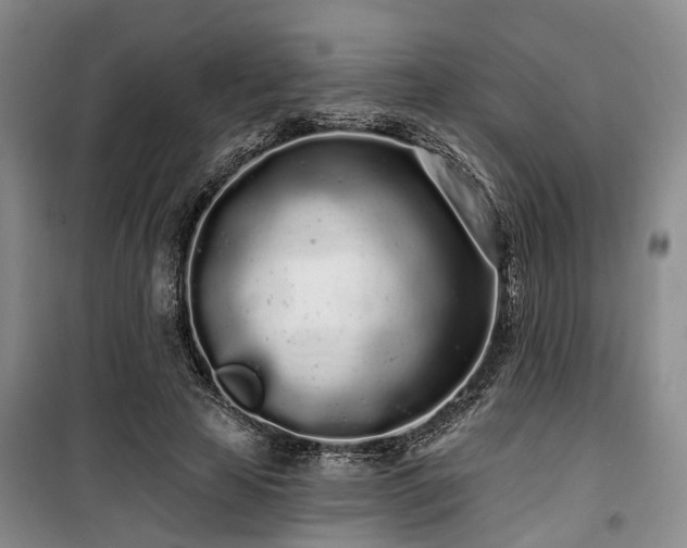 X0000100200641200805301311