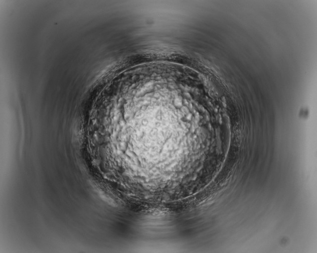 X0000100200642200805301311