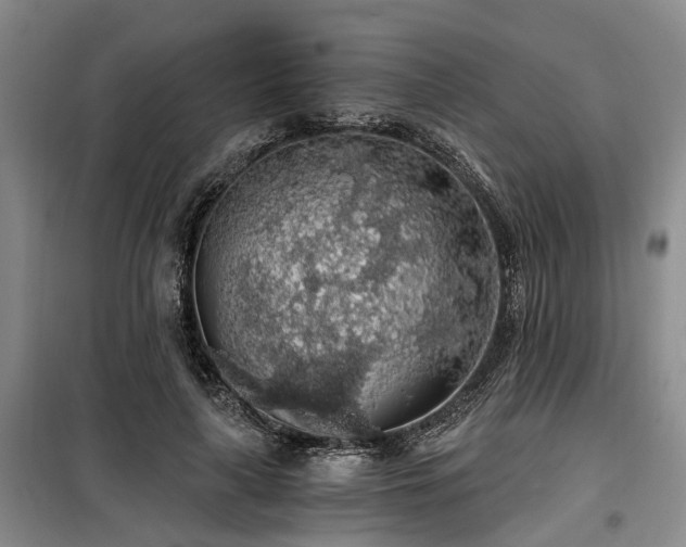 X0000100200643200805301311