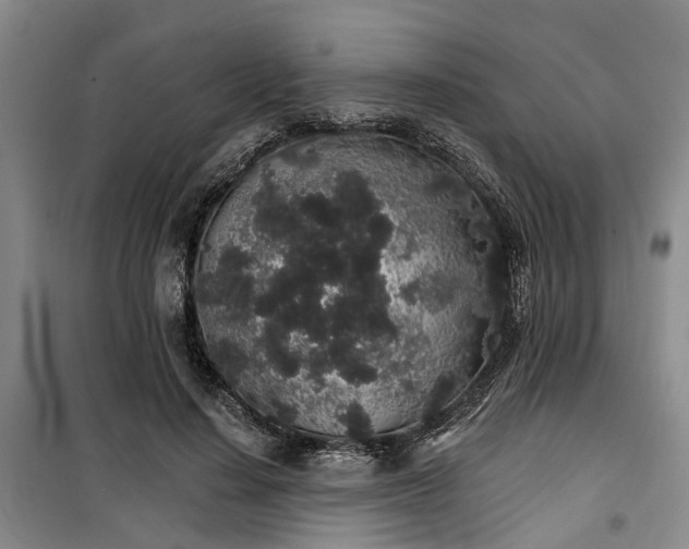 X0000100200644200805301311