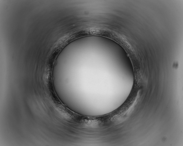 X0000100200645200805301311