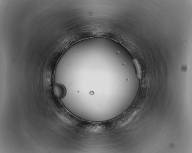 X0000100200646200805301311