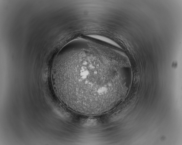 X0000100200647200805301311