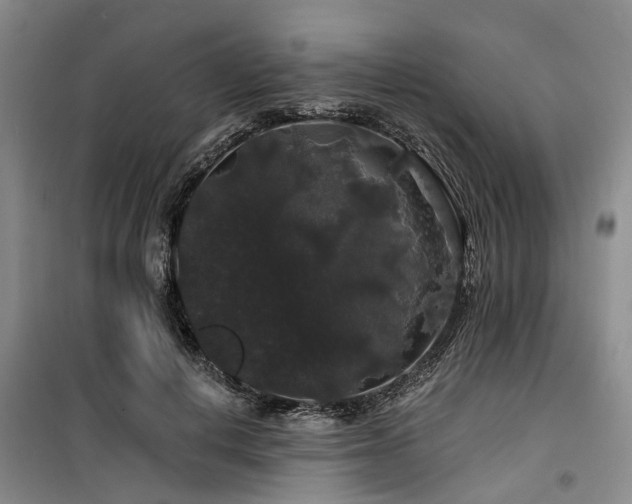 X0000100200648200805301311