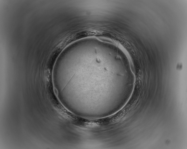 X0000100200649200805301311