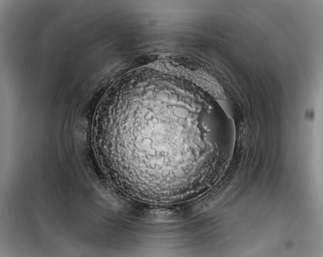 X0000100200650200805301311